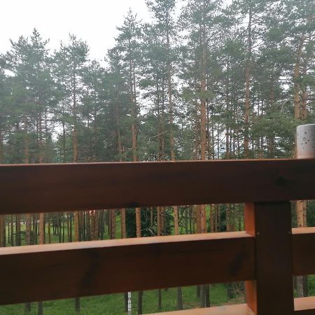Apartman Nele Zlatibor Exteriér fotografie