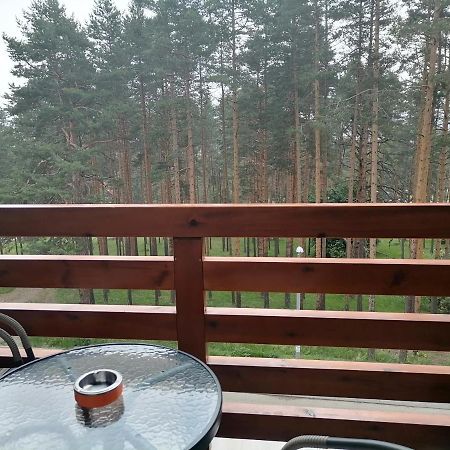 Apartman Nele Zlatibor Exteriér fotografie