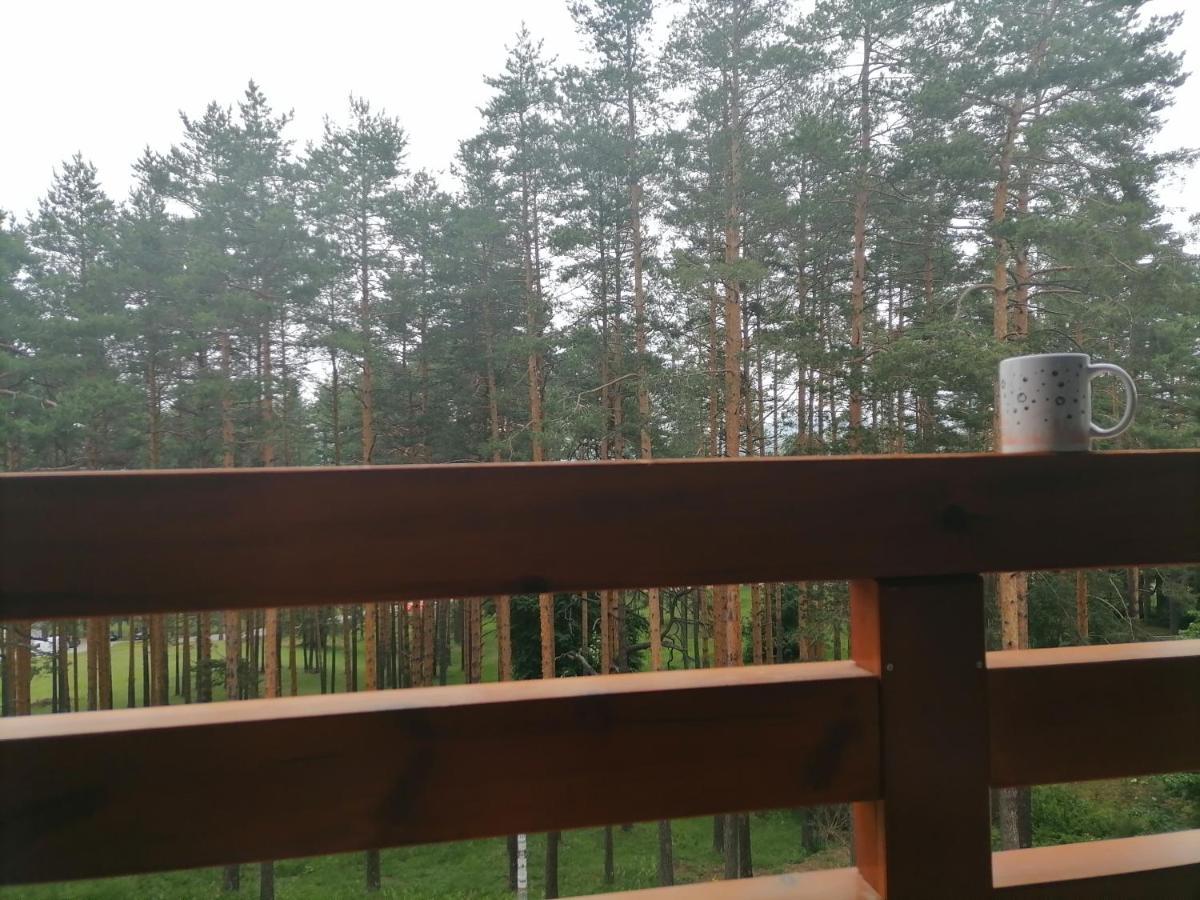 Apartman Nele Zlatibor Exteriér fotografie